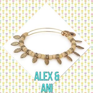 Alex and Ani spearhead sunlight bracelet